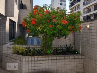 Condomnio Residncias Dona Mariana Botafogo Rio de Janeiro Alugue ou Compre QuintoAndar