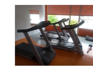 Conserto de Esteiras Em Mogi das CruzesDGFitness79 Mogi das Cruzes Pintor de parede e reformas no 224129557 