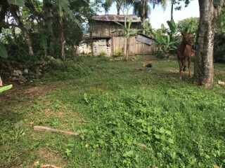 Terreno en san marcos, ver. en Xico | Clasf animales