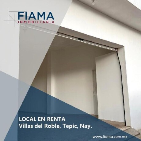 local-comercial-en-renta-en-villas-del-roble-tepic-nay-en-tepic-clasf-computacion-big-0