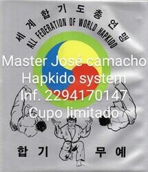 korean-self-defense-hapkido-system-en-veracruz-clasf-formacion-y-libros-big-0