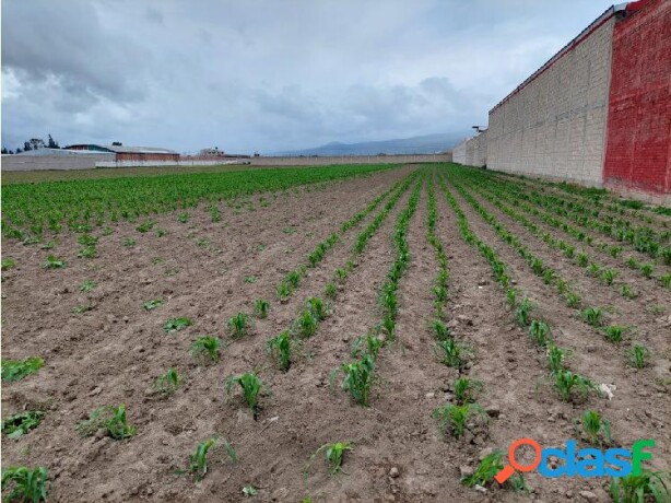 terreno-en-venta-en-celaya-zona-campo-azul-en-celaya-clasf-inmobiliaria-big-2