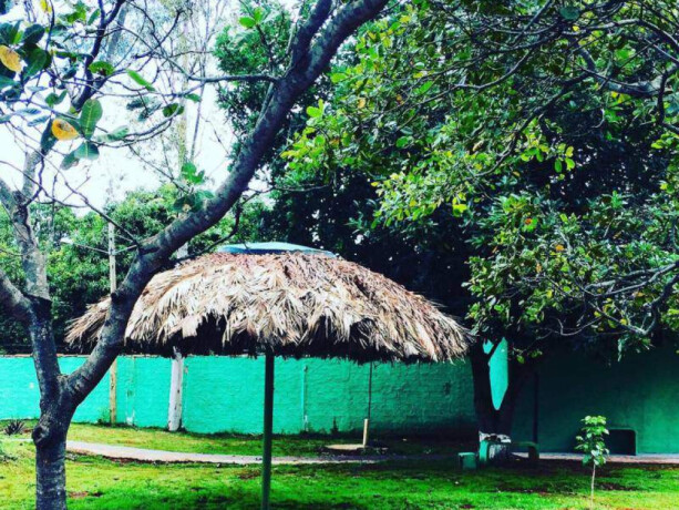 chacara-sitio-e-rancho-de-temporada-em-goianira-goianira-goias-setor-de-chacaras-sao-domingos-goianira-go-setor-de-chacaras-sao-domingos-big-0