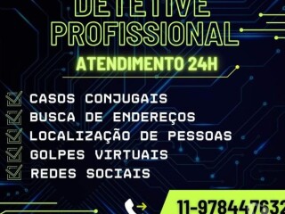 Detetive Particular Santos SP - Profissionais liberais 